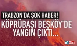 Trabzon Köprübaşı Beşköy'de ormanlık alanda yangın...