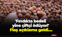 'Fındıkta bedeli yine çiftçi ödüyor!' Flaş açıklama geldi....