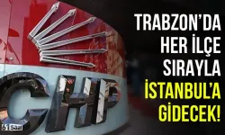 Trabzon'da her ilçe sırayla İstanbul'a gidecek!
