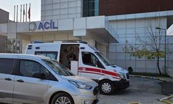 Cezaevinden  izinli çıktı  dayısını öldürdü