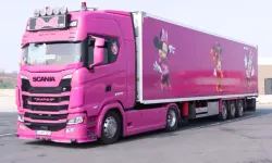 Pembe TIR’ıyla Avrupa yollarında: 4 çocuk annesi direksiyon başında