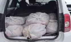 Satışa hazır  306 kilo at eti yakalandı!