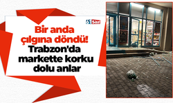 Bir anda çılgına döndü! Trabzon'da markette korku dolu anlar