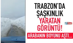 Trabzon'da şaşkınlık yaratan görüntü: Arabanın boyunu aştı...