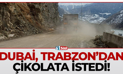 Gümüşhane'de kapanan yol tekrardan açıldı!