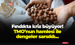 Fındıkta kriz büyüyor! TMO’nun hamlesinin etkisi…