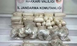 2 ilde  operasyon! 15 kişi yakalandı