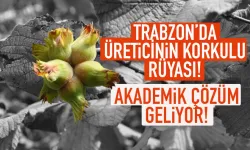 Trabzon'da üreticilerin korkulu rüyası! Akademik çözüm geliyor...