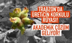 Trabzon'da üreticilerin korkulu rüyası! Akademik çözüm geliyor...