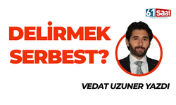 Vedat Uzuner yazdı! DELİRMEK SERBEST?