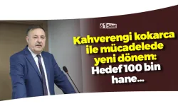 Kahverengi kokarca ile mücadelede yeni dönem: Hedef 100 bin hane...