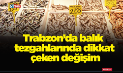 Trabzon’da balık tezgahlarında dikkat çeken değişim