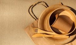 Tek kullanımlık plastiklere karşı doğa dostu alternatifler...