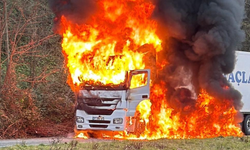 Rize'de arızalanan tır alev aldı