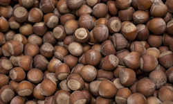 Trabzon'un fındık ihracatı 2 ayda 60,6 milyon doları aştı