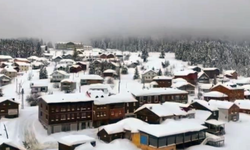 Giresun yaylalarında görsel şölen