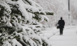 Lapa lapa yağacak! Meteoroloji sarı kodla uyardı