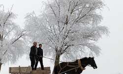 Türkiye’de en düşük sıcaklık eksi 20 dereceyle Bayburt’ta ölçüldü