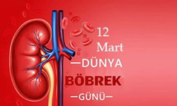 12 Mart Dünya Böbrek Günü'nde böbrek sağlığına dikkat çekildi.