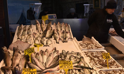 Rize'de istavrit ve hamsinin kilogramı 100 liradan satıldı