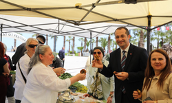 Akçaabat'ta kültür ve sanat dolu aylar başlıyor