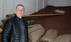 Ramazan Bayramı öncesi fındık fiyatları 240 liraya geriledi