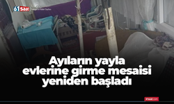 Ayıların yayla evlerine girme mesaisi yeniden başladı
