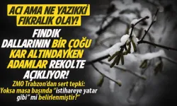 Fıkralık olay! Fındık dalları kar altındayken, rekolte açıkladılar...