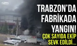 Trabzon'da fındık fabrikasında yangın! Çok sayıda ekip sevk edildi...