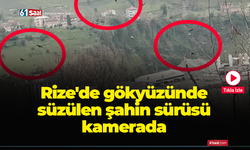Rize'de gökyüzünde süzülen şahin sürüsü kamerada