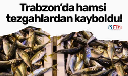 Trabzon’da hamsi tezgahlardan kayboldu!