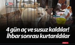 4 gün aç ve susuz kaldılar! İhbar sonrası kurtarıldılar