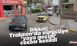 Dikkat! Trabzon’da sürücüye 'yaya geçidi' cezası kesildi