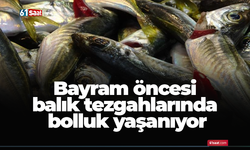 Bayram öncesi balık tezgahlarında bolluk