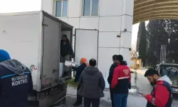 Nakil belgesi olmayan araçta 290 kasa balığa el konuldu