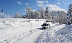 Karadeniz'de karla mücadele çalışmaları devam ediyor