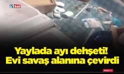 Yaylada ayı dehşeti! Evi savaş alanına çevirdi