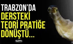 Trabzon'da dersteki teori bahçede pratiğe dönüştü!