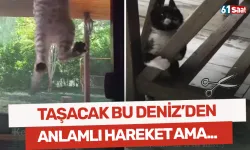 Taşacak Bu Deniz'den anlamlı hareket ama...