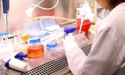 Yabancı hastalar, Türkiye’de  kök hücre nakli yaptırıyor