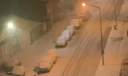 Kars'ta kar yağışı etkili oldu
