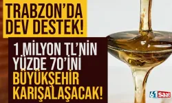 Trabzon'da dev destek! 1 milyon TL'ye mal oluyor, yüzde 70'ini büyükşehir karşılayacak!