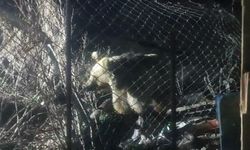 Bayburt'ta şantiye alanına inen ayı vatandaşın sesini duyunca böyle kaçtı