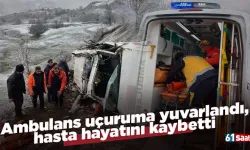Ambulans uçuruma yuvarlandı, hasta hayatını kaybetti