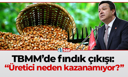 TBMM’de Arıkan'dan fındık çıkışı: “Üretici neden kazanamıyor?”