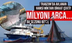 Trabzon'da milyonlarca hamsi avlandı...