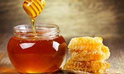 Türk balı 31 ülkenin sofrasında yer aldı