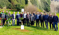 Trabzon'da fidanlar toprakla çocuklar doğayla buluştu