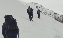 Bayburt'ta ayı saldırılarının yaşandığı yaylada ulaşım sorunu sürüyor