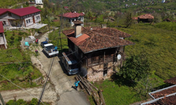 Kahverengi kokarcaya karşı kışlaklardan çıkış öncesi ilaçlama hız kazandı!